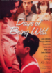 Cover: Die Biografie des Rowdys Afei (1990)