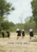 Cover: Ohne diese Welt (2017)